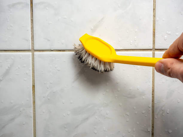 Best Best Mold Removal Companies  in Gleneagle, CO