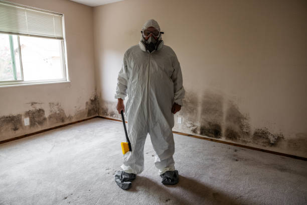 Mold Testing and Removal in Gleneagle, CO